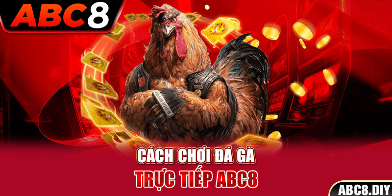 Cách chơi đá gà trực tiếp ABC8